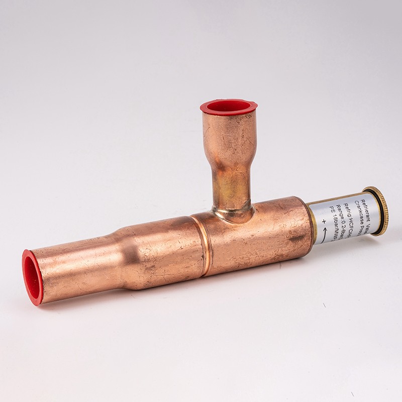 crankcase pressure regulator